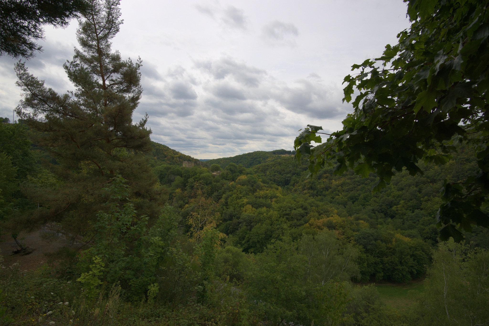 Ausblick auf die Schmidtburg